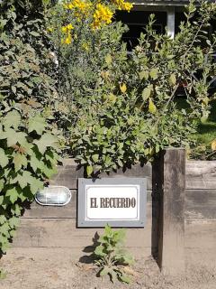 El Recuerdo - Villa La Angostura - 7