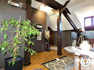 La Caze Paloise ~ Atypique ~ 100% Fonctionnel - 5