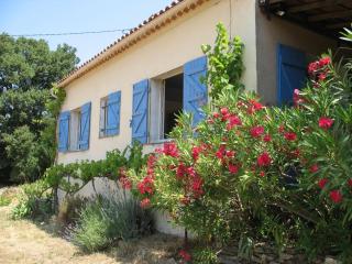 Les volets bleus - La Garde-Freinet - 8