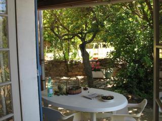 Les volets bleus - La Garde-Freinet - 5