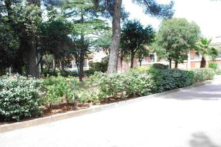 Renecros 1 a 30 m de la mer - Bandol - 5