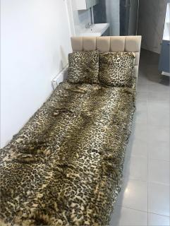 Jolie appartement avec 2 chambres partagées - París - 4