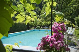 Pension Zierlinger - Senftenberg - 7