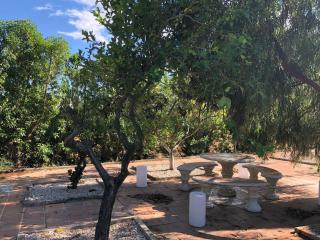 Lovely 2 Bed Apartment in Alcalali - Alcalalí - 1