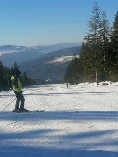 Apartman Hare - Vlasic - 8