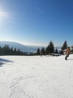 Apartman Hare - Vlasic - 9