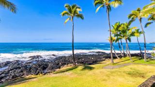 Kona Reef D17 - Kailua-Kona - 8