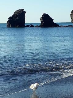 T2 PLAGE DE LA CONQUE - 0