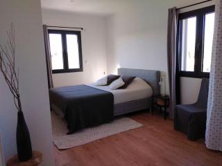 Loft avec piscine privée en campagne proche Saint Remy de Provence - Maillane - 4