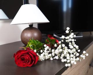 Rachel's guest apartments - Santa Maria Capua Vetere - 3