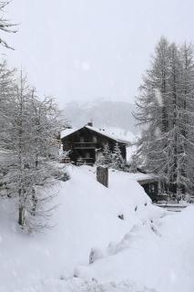 Silva: The Alpine Chalet - 1