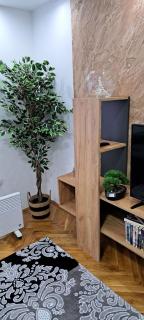 Apartmani Vranić - Vrdnik - 8