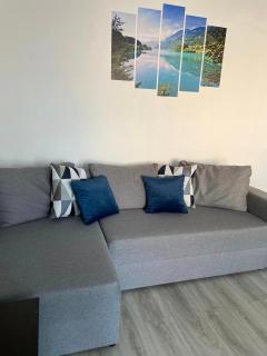 Apartament BriFla Comfort Mureș - 1