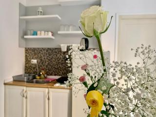 Star apartment 2 - Belgrado - 5