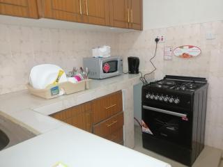 NASH ISSAH 1BEDROOM APARTMENTS - Nakuru - 2