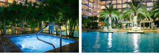 Ocean View Penthouse - Palm-Eagle Beach - 8