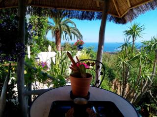 NOUVEAU ! Chambre d'Hôte Insolite PRIVEE " CŒURS DE PIRATES à BALI EN PROVENCE" SPA SAUNA MASSAGES dans cadre EXOTIQUE d'Aménagements EXTÉRIEURS D'EXCEPTION ÉTÉ comme HIVER BIENVENUE !!! - Cavalaire-sur-Mer - 9