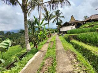 Magical Breeze Cabin - Angsri - 1