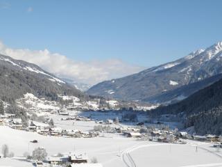 Apartment in Wald near Ski Slopes - 3