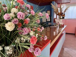 Sun & Beach Apartments - Pietra Ligure - 7
