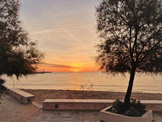Appartement 2 pièces, 4/5 couchages, proche plage et commodités, parking inclus, Bormes-les-Mimosas - FR-1-251-432 - Bormes-les-Mimosas - 3