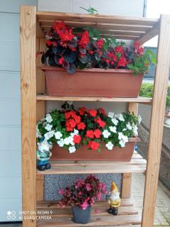 Casa Xesteira Cambados - 8