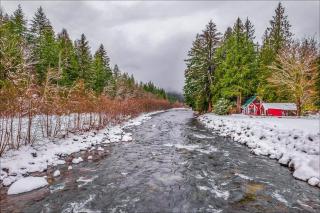 NEW: Steps from White River near Mount Rainier National Park - Greenwater - 6