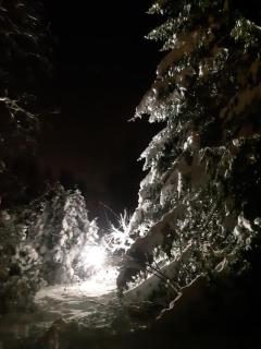 Alapihan Arboretumin vierasmaja ja sauna - 3