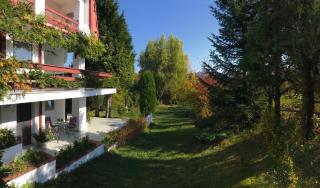 studio in vila- natural 22 C ! - Breaza de Sus - 1