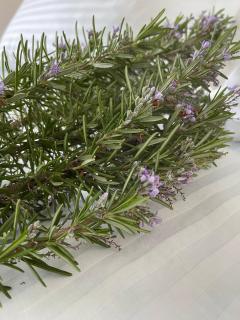 RUSTIC HILL Private Pool Rooms - 5