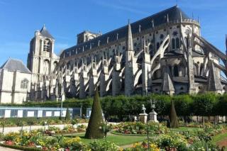 Appart 2 pièces 35m2,centre ville, parking gratuit - Bourges - 5
