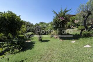 M3A - Villa Rosmarino Porto Mannu - Palau - 3