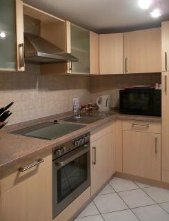 Ferienwohnung Am Elberadweg - Dresda - 3
