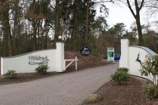 Vakantiehuis Diever - Diever - 5