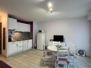 Studio spacieux et cocooning à Aix-les-Bains, proche des thermes et du lac - FR-1-555-73 - Aix-les-Bains - 5