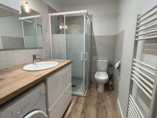 Studio spacieux et cocooning à Aix-les-Bains, proche des thermes et du lac - FR-1-555-73 - Aix-les-Bains - 8