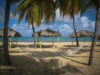 Tamarind Reef Resort Spa & Marina - Christiansted - 9