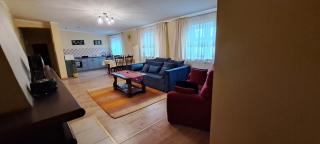 Apartament Alcatraz z kominkiem Kamienna Góra - Kamienna Góra - 4