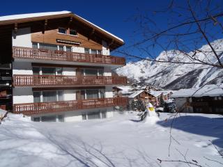 Apartments Alpenfirn Saas-Fee - 3