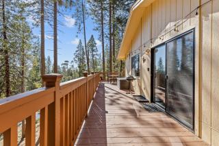 Big Trees, Little Cabin - Arnold - 8