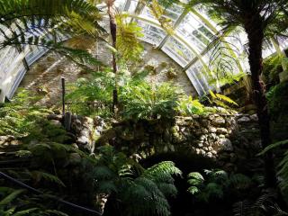 Ard Darach Lodge - Dunoon - 8