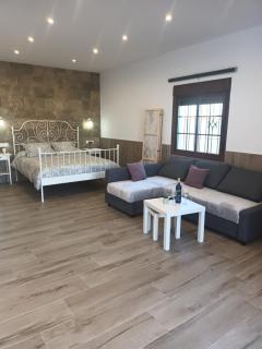 APARTAMENTO AMARÉ - Conil de la Frontera - 7
