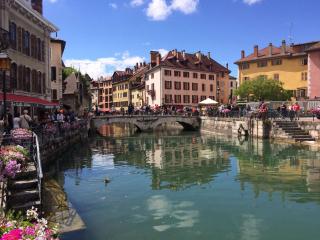 Appartement Annecy centre avec parking privé, proche lac et commerces - FR-1-432-41 - Annecy - 8