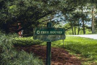 Lofty Willows Treehouse by Amish Country Lodging - Millersburg - 1