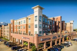 Home felt apartment- Med Center/NRG - Houston - 4