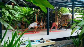 Cariblue Beach and Jungle Resort - 2