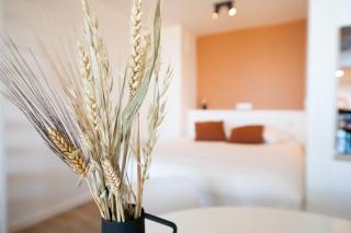 Ostend Studio - Oostende - 4