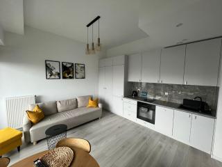 Miodowy Apartament w Hanza Tower -Sauna&Pool - Szczecin - 3