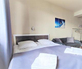 "Gudauri Heart" Apartment - 9