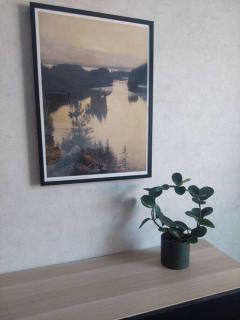 Kodikas kaksio Pieksämäen keskustasta - Pieksamaki - 8